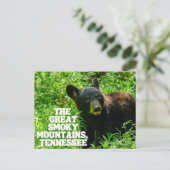 ザスモーク素晴らしマウンテンズ国立森林はがき ポストカード (スタンド正面)