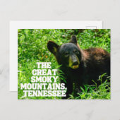 ザスモーク素晴らしマウンテンズ国立森林はがき ポストカード (正面/裏面)