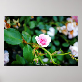 ザスモールバラ ポスター