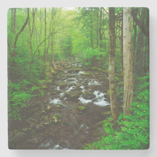 ザスモー素晴らしキー山脈 ストーンコースター (正面)