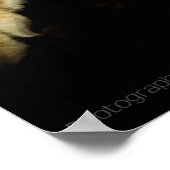 ザスリーピングアムールプリント ポスター (角)