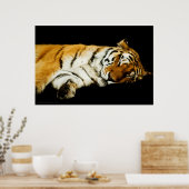 ザスリーピングアムールプリント ポスター (キッチン)