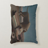 ザスリーピングジプシーbyアンリ・ルソーヴィンテージ・アート アクセントクッション (正面(垂直))