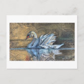 ザスワン絵を描ズ ポストカード (正面)