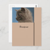 ザズル保touchハガキとカスタム ポストカード (正面/裏面)