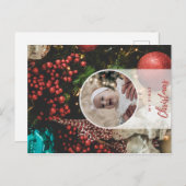 ザズル葉書 ポストカード (正面/裏面)