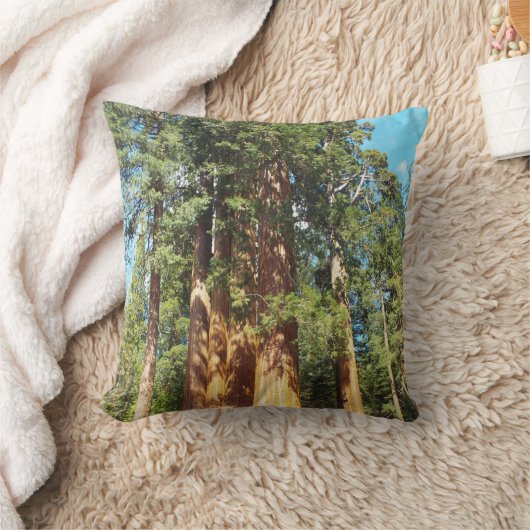 ザセコイア&キングスキャニオン国立公園 クッション (ブランケット)