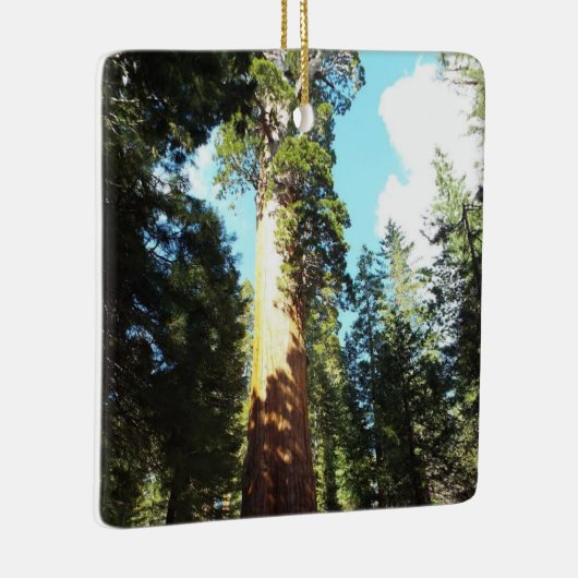 ザセコイア&キングスキャニオン国立公園 セラミックオーナメント (右)