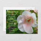 ザセレニティ祈りの言葉ガーデンハガキ ポストカード (正面/裏面)