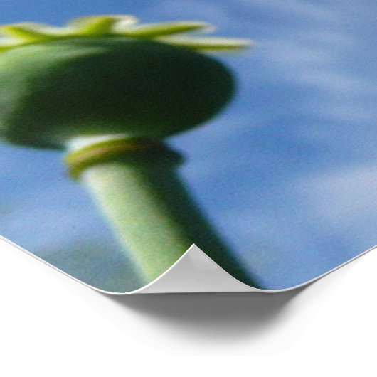 ザセレニティ祈りの言葉ポスター受付引用文アート ポスター (角)