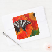 ザゼブラアゲハチョウ蝶 スクエアシール (封筒)