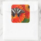 ザゼブラアゲハチョウ蝶 スクエアシール (バッグ)