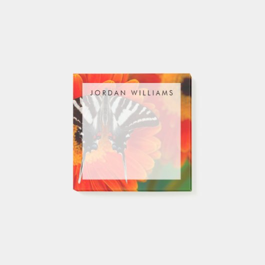 ザゼブラアゲハチョウ蝶 ポストイット (正面)