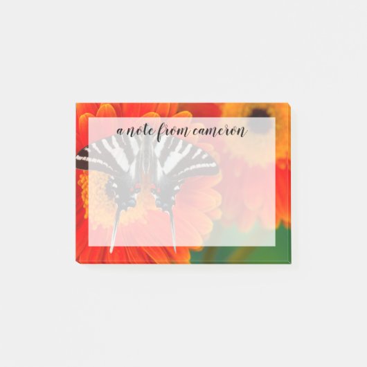 ザゼブラアゲハチョウ蝶 ポストイット (正面)