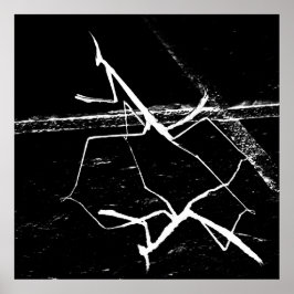 ザゼンマンティス ポスター