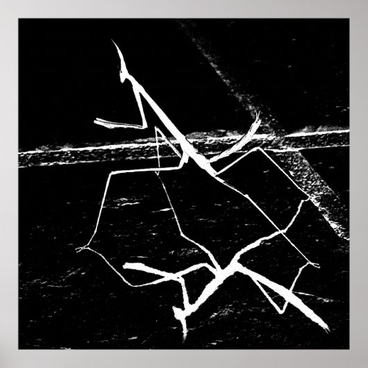 ザゼンマンティス ポスター (正面)