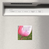 ザソウル マグネット (インサイチュ (食洗機))