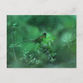 ザソング ポストカード (正面)