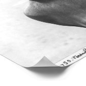 ザソーネ川、パルテールから ポスター (角)