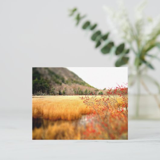 ザターン ポストカード (スタンド正面)