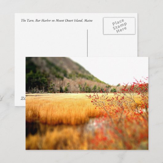 ザターン ポストカード (正面/裏面)