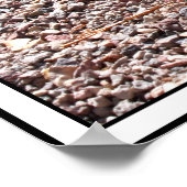 ザタ素晴らしートルカタツムリ ポスター (角)