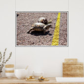 ザタ素晴らしートルカタツムリ ポスター (キッチン)