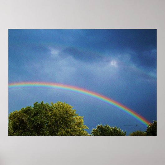 ザダブルレインボープリント ポスター (正面)