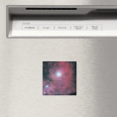 ザダンベル星雲 マグネット (インサイチュ (食洗機))