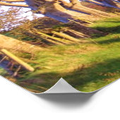 ザダークヘッジプリント ポスター (角)