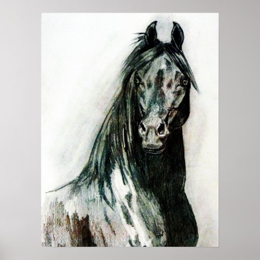 ザダーク美しい ポスター (正面)