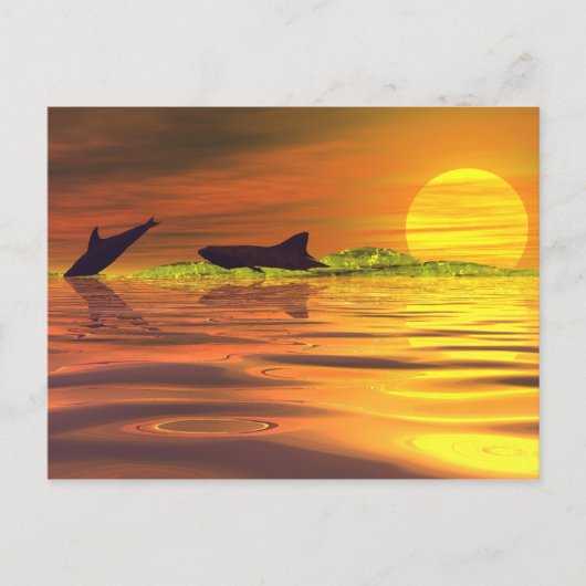 ザチェイス ポストカード (正面)