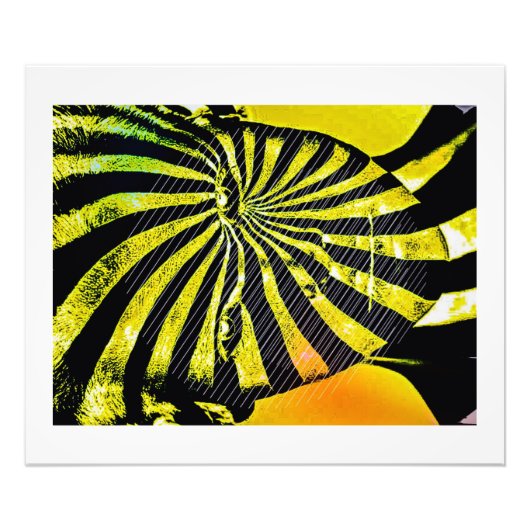 ザチェンジリング フォトプリント            (正面)