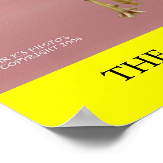 ザチキン ポスター (角)