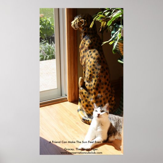 ザチニエストタイガー&バッド子猫 ポスター (正面)