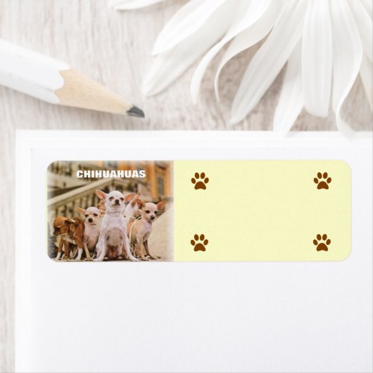 ザチワワ集団 ラベル (インサイチュ)