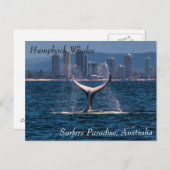 ザッキーオフサーファーズパラダイス ポストカード (正面/裏面)