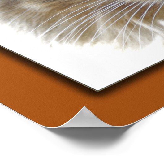 ザックの写真 ポスター (角)