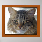 ザックの写真 ポスター (正面)