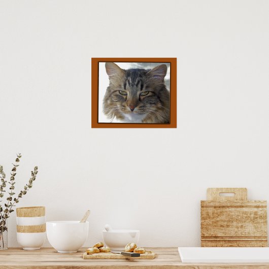 ザックの写真 ポスター (キッチン)