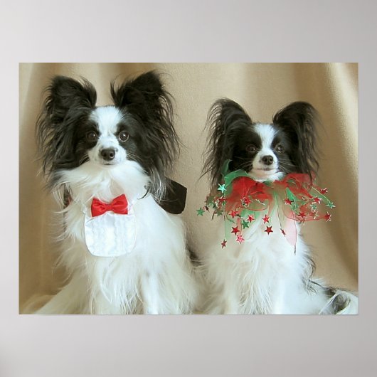 ザック・ナブ・クレア ポスター (正面)