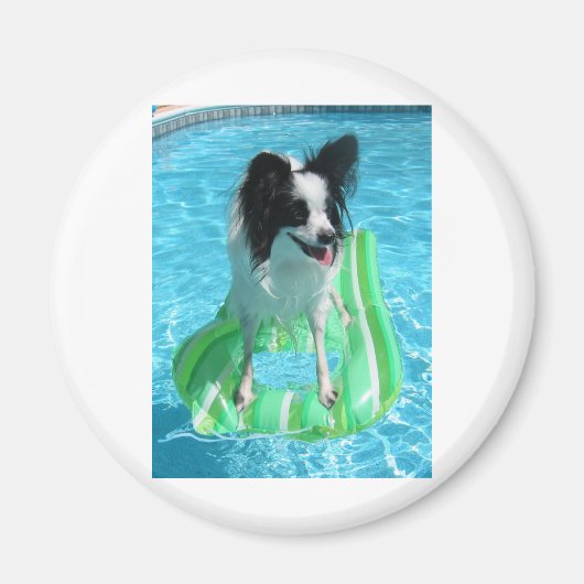 ザック マグネット (正面)