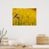 ザツバメ ポスター (キッチン)