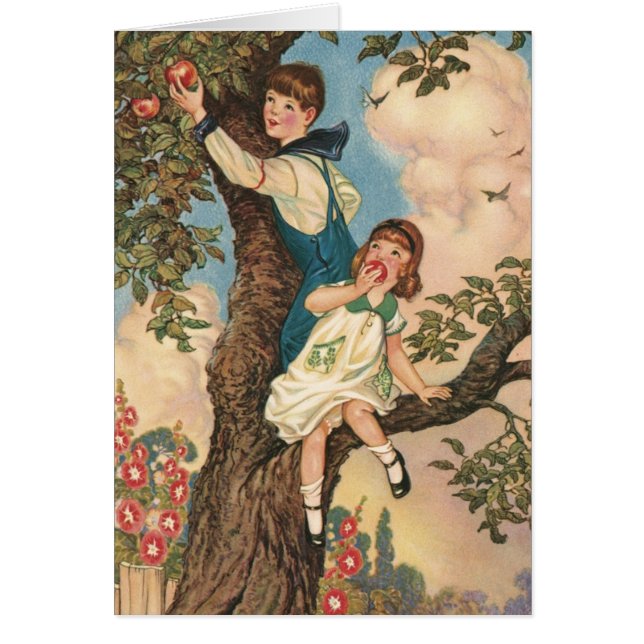 ザツリークライマー (正面)