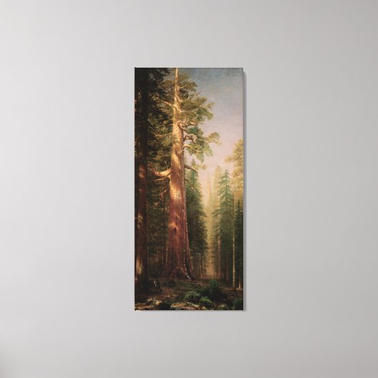 ザツリーズ素晴らし、マリポサグローブ、CAバイエルシュタット キャンバスプリント (正面)