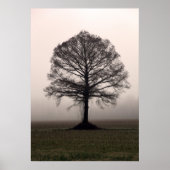 ザツリー ポスター (正面)