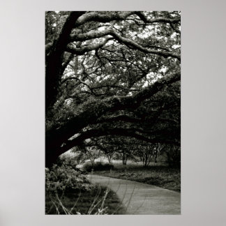 ザツリー ポスター