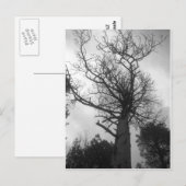 ザツリー ポストカード (正面/裏面)