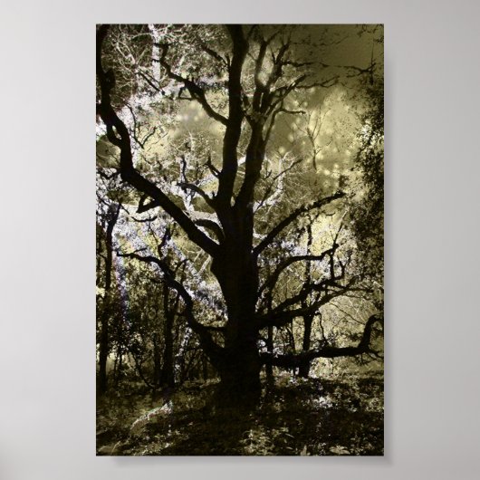 ザツ幽霊のよく出るリー ポスター (正面)