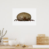 ザティック ポスター (キッチン)